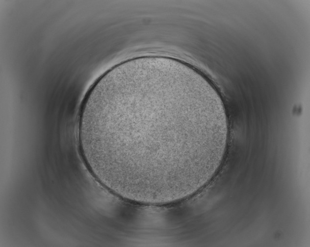 X0000090781514200708031703