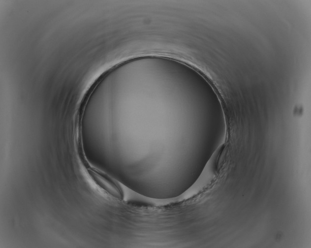 X0000090781515200708031703