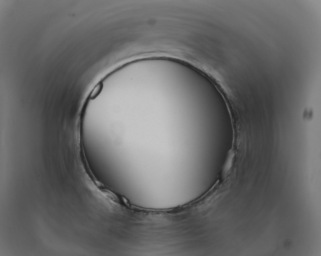 X0000090781516200708031703