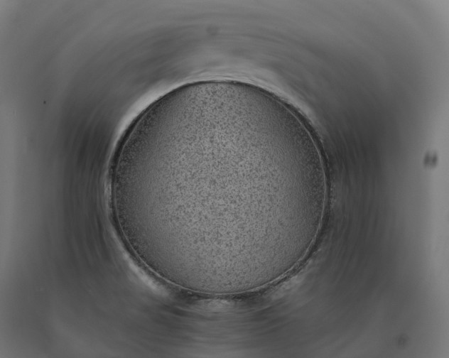 X0000090781517200708031703
