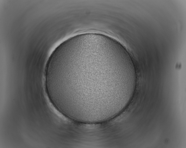 X0000090781518200708031703