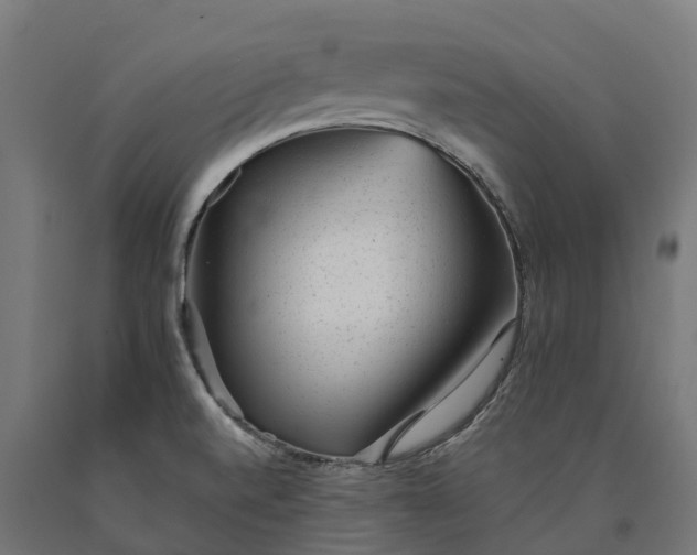 X0000090781520200708031703