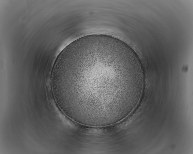 X0000090781521200708031703