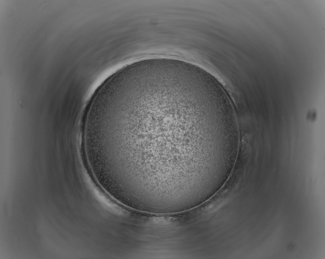 X0000090781523200708031703
