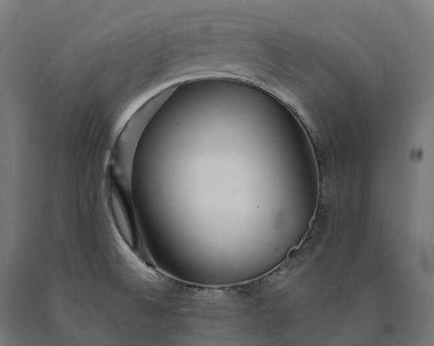 X0000090781524200708031703