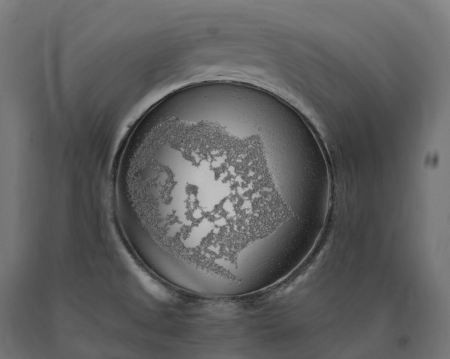 X0000090781525200708031703