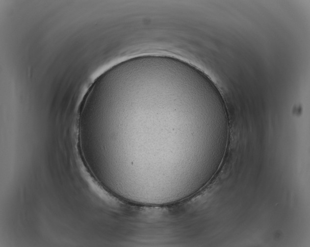 X0000090781526200708031703