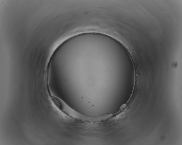 X0000090781527200708031703