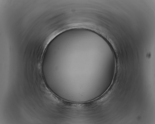 X0000090781529200708031703