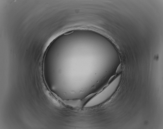X0000090781530200708031704