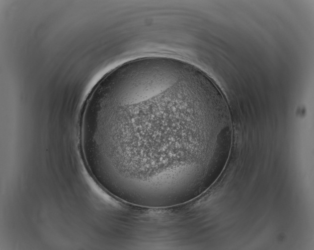 X0000090781531200708031704