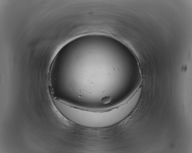 X0000090781532200708031704