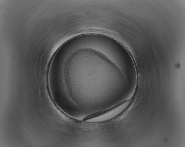 X0000090781533200708031704