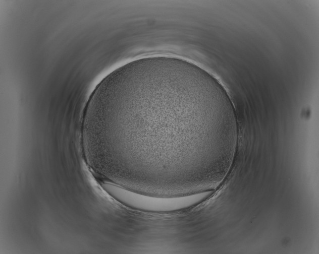 X0000090781534200708031704