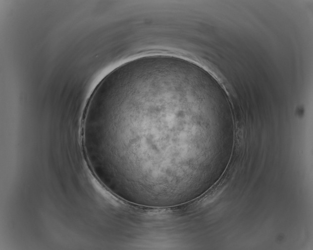 X0000090781535200708031704