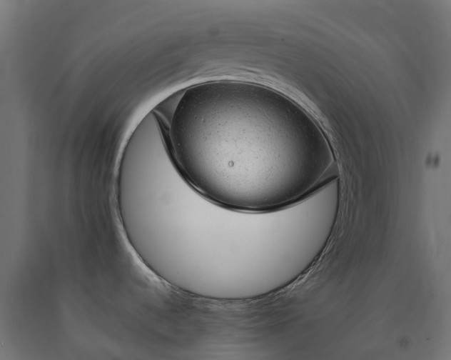 X0000090781536200708031704