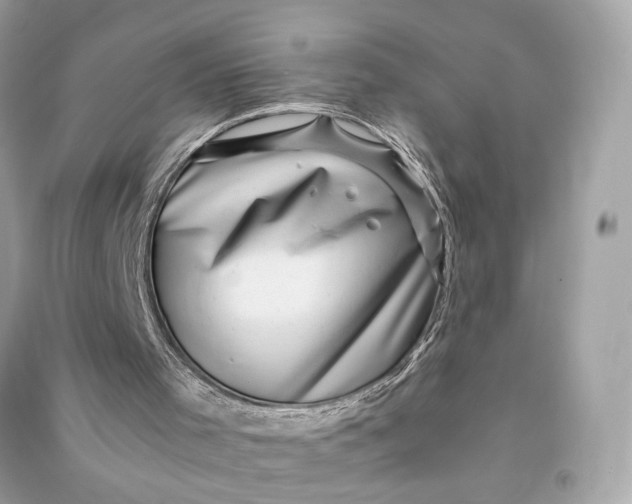 X0000090780001200708101844