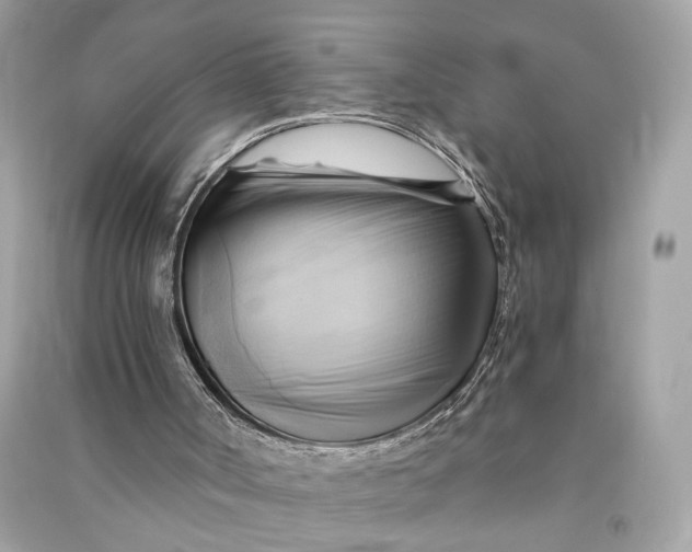 X0000090780002200708101844