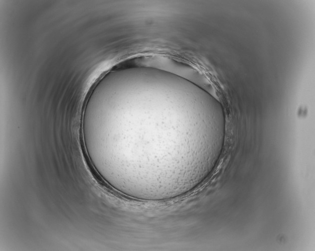 X0000090780003200708101844