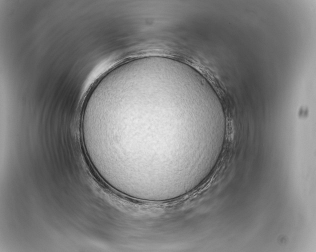 X0000090780004200708101844
