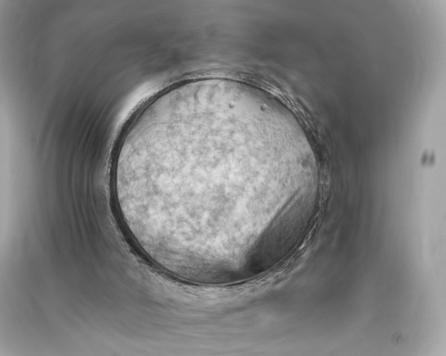 X0000090780006200708101844
