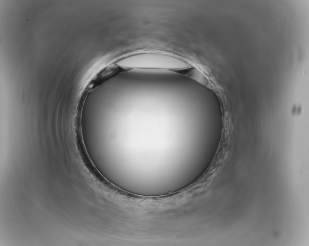 X0000090780007200708101844