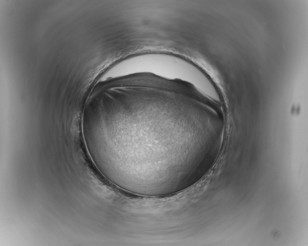 X0000090780009200708101844