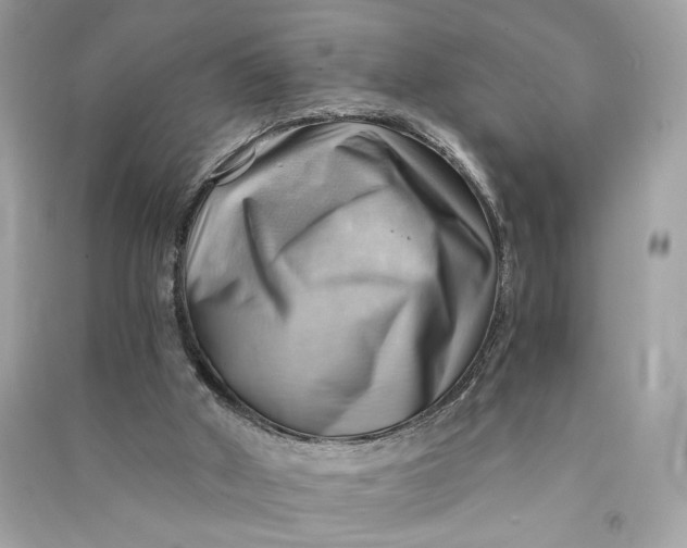X0000090780010200708101843