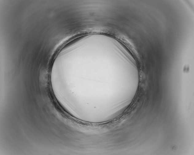 X0000090780012200708101843