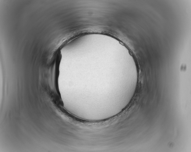 X0000090780013200708101843