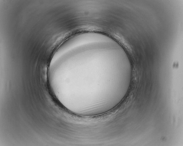 X0000090780014200708101843