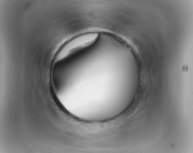 X0000090780015200708101843