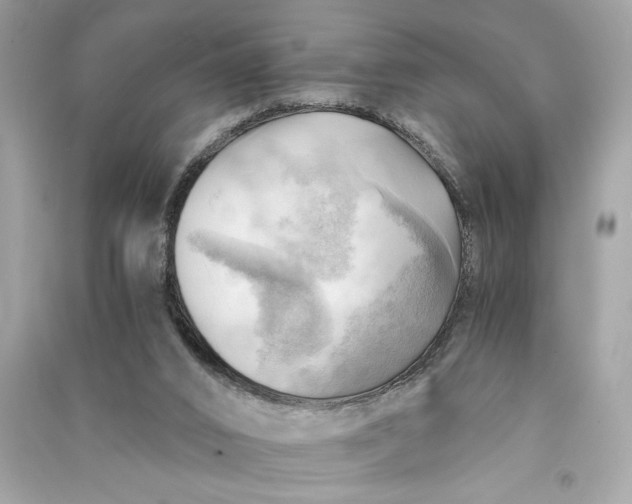 X0000090780016200708101843