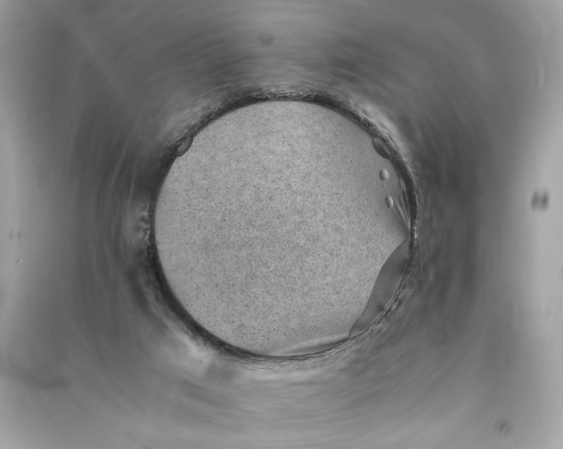 X0000090780017200708101843