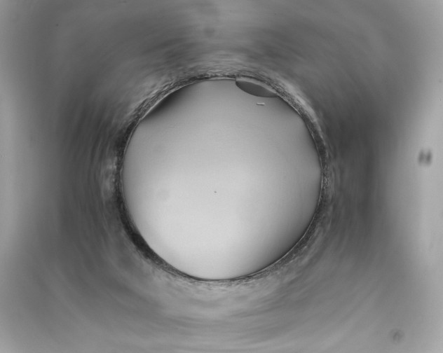 X0000090780018200708101843