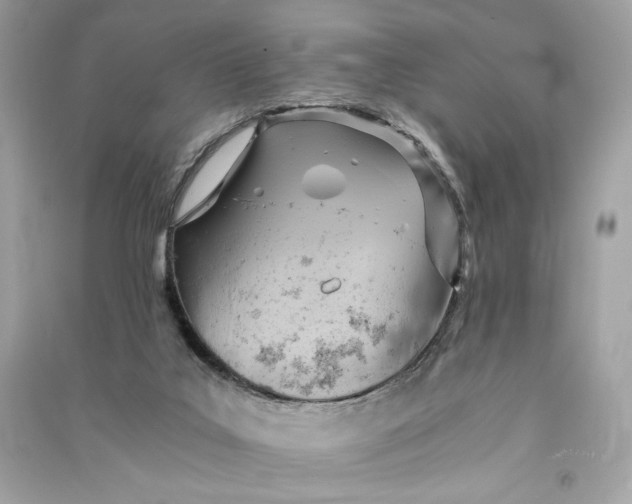 X0000090780019200708101843