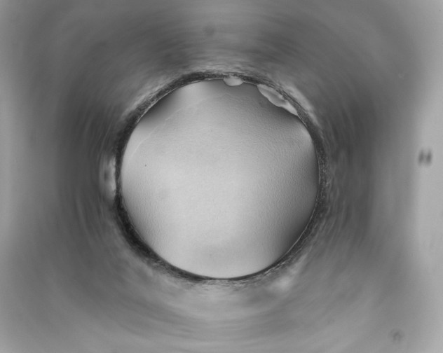 X0000090780020200708101843