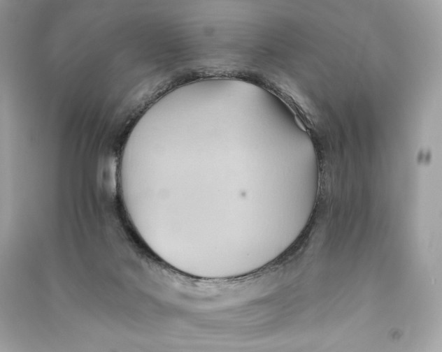 X0000090780022200708101843