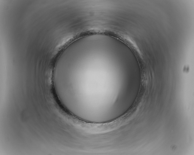 X0000090780023200708101843