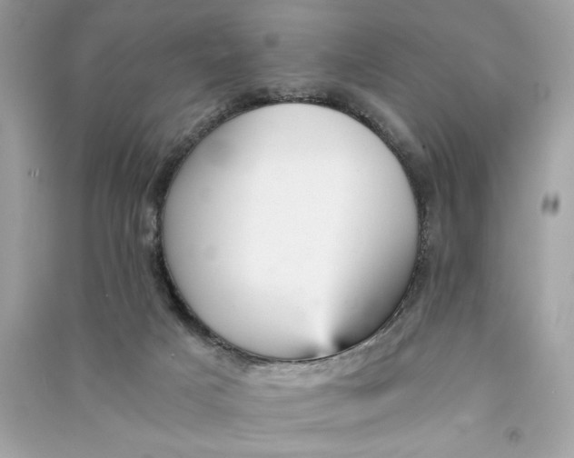 X0000090780025200708101843