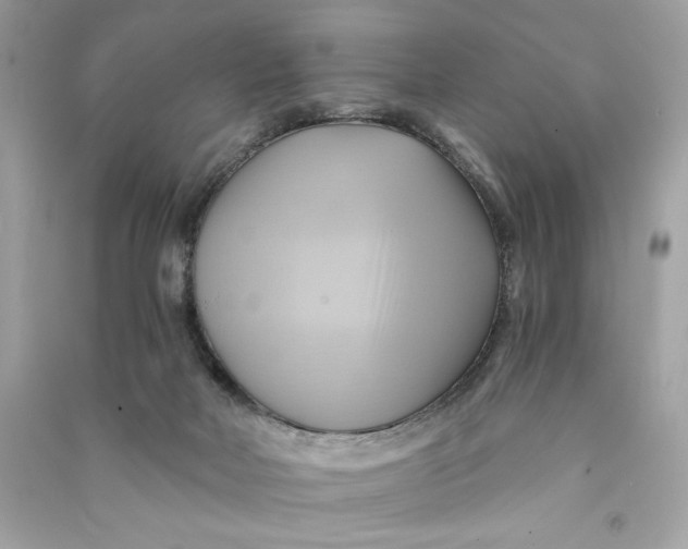 X0000090780026200708101843