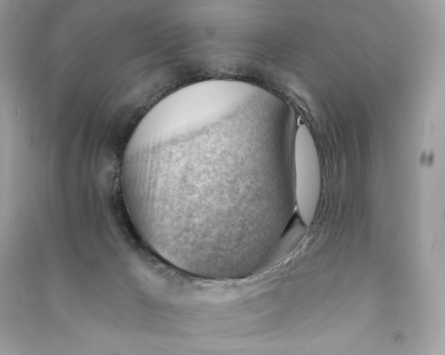 X0000090780029200708101843