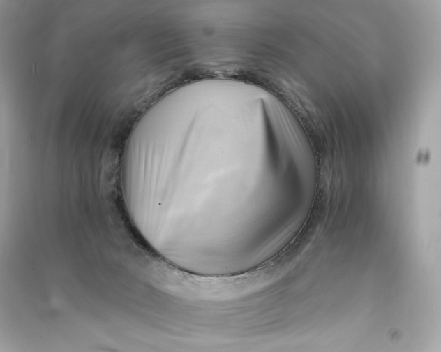X0000090780030200708101843