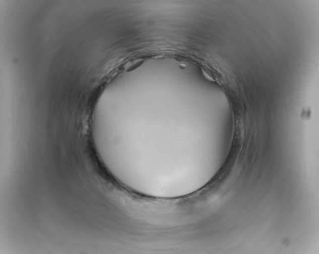 X0000090780032200708101843