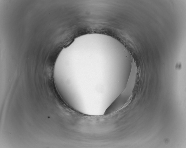 X0000090780033200708101843