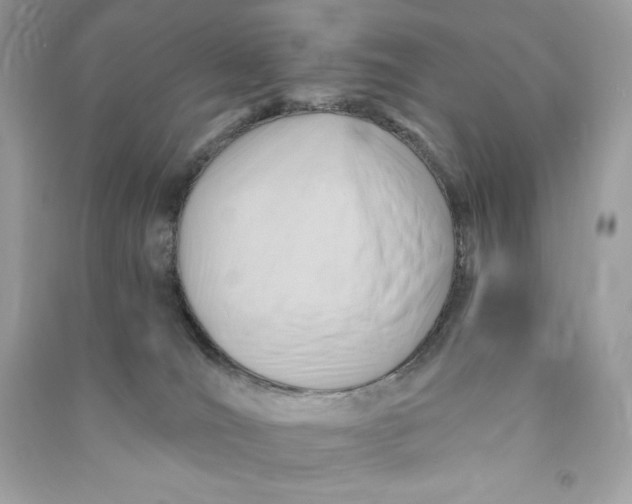 X0000090780036200708101843