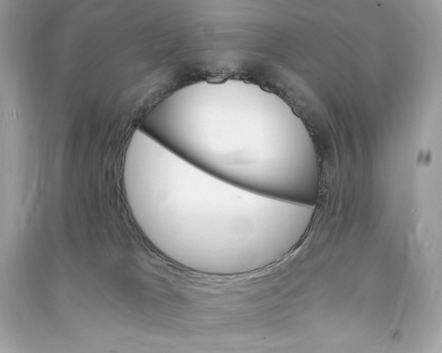 X0000090780037200708101843