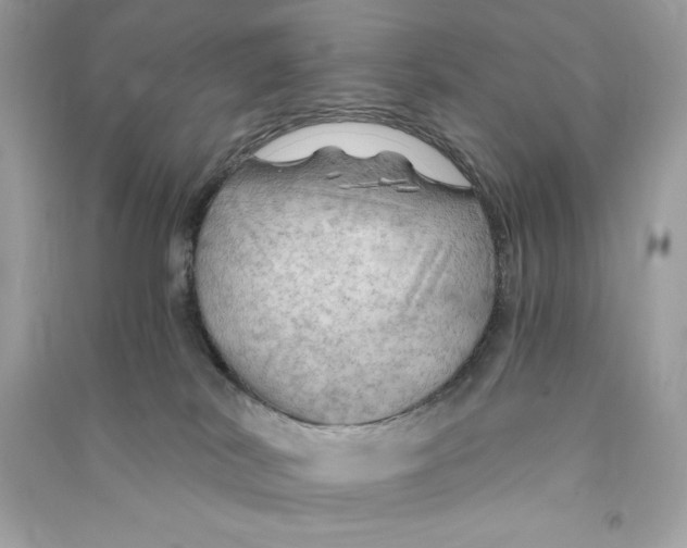 X0000090780038200708101843