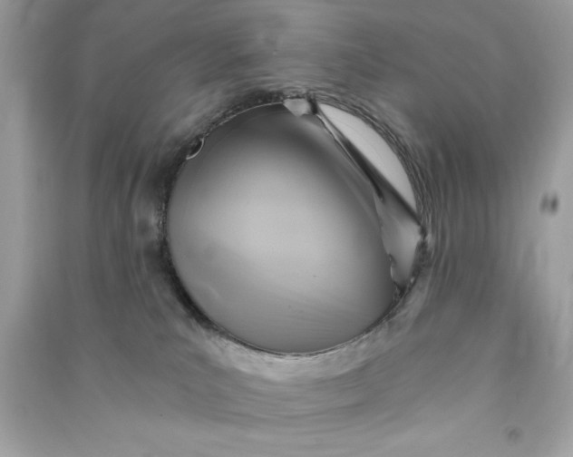 X0000090780039200708101843