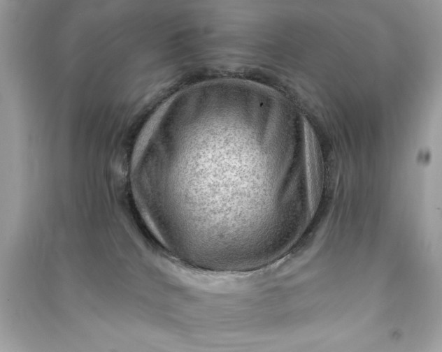 X0000090780040200708101843